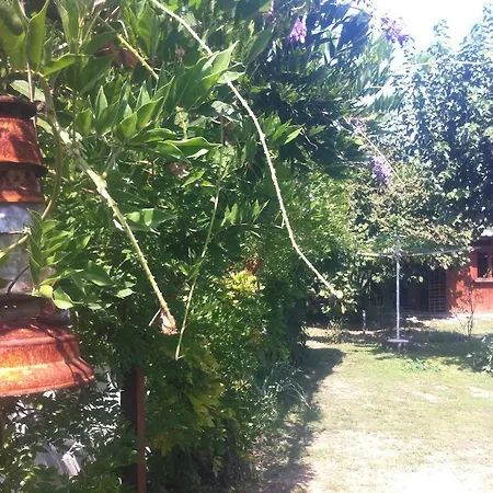 Santa Maria Donji Kovilj