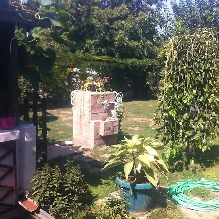 Santa Maria Donji Kovilj